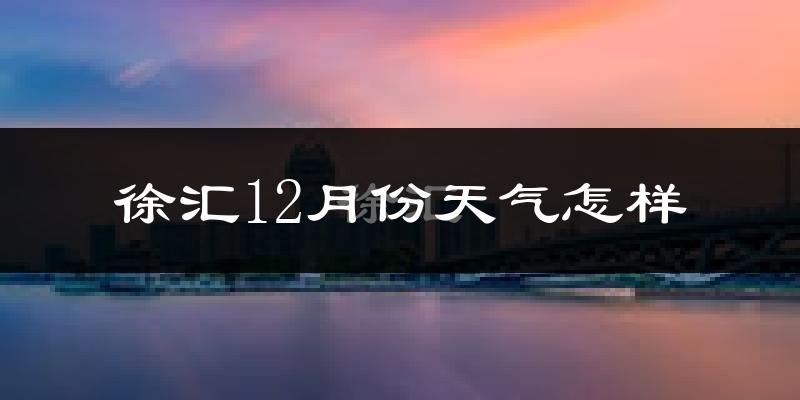 徐汇12月份天气怎样?徐汇十二月冷吗?