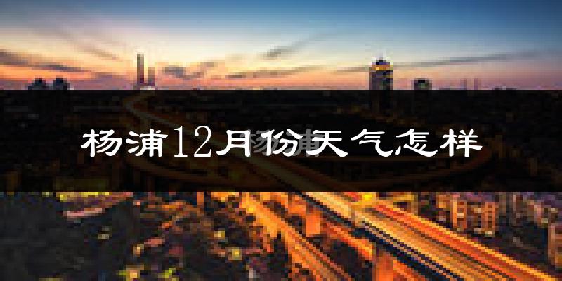 杨浦12月份天气怎样?杨浦十二月冷不冷?