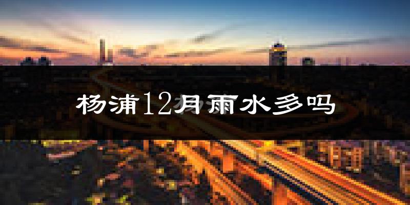 杨浦12月雨水多吗?