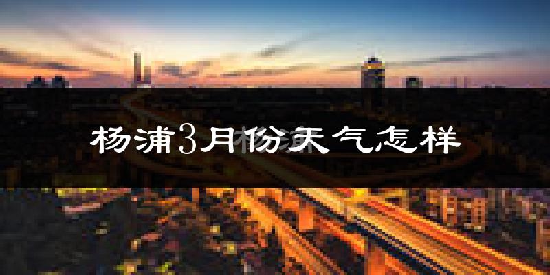 杨浦3月份天气怎样?杨浦三月冷吗?
