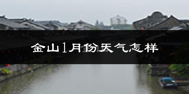 金山1月份天气怎样?金山一月冷吗?
