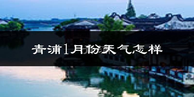 青浦1月份天气怎样?青浦一月冷吗?