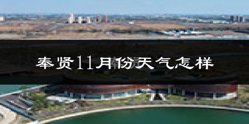 奉贤11月份天气怎样?奉贤十一月冷吗?
