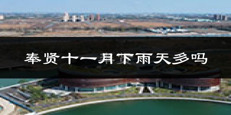 奉贤十一月下雨天多吗?奉贤11月份降雨量多少?