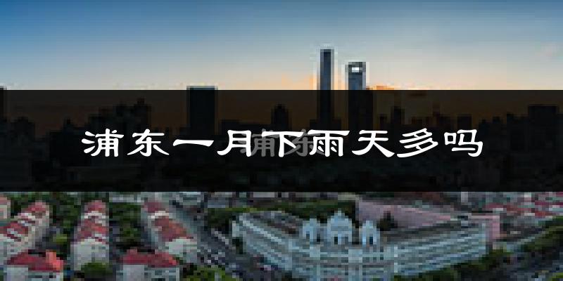 浦东一月下雨天多吗?浦东1月份降雨量多少?