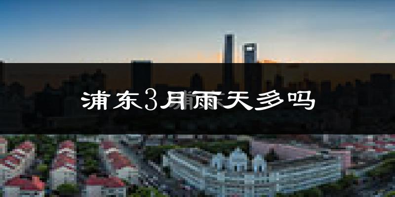浦东3月雨天多吗?