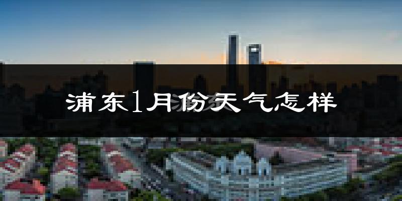浦东1月份天气怎样?浦东一月冷吗?