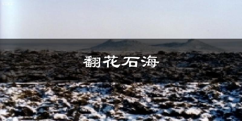 翻花石海天气预报十五天