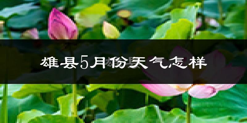 雄县5月份天气如何?很热吗?