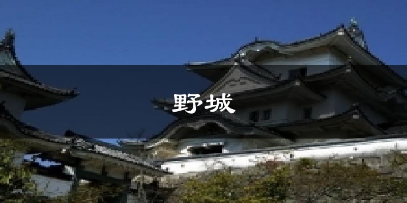 野城天气预报十五天