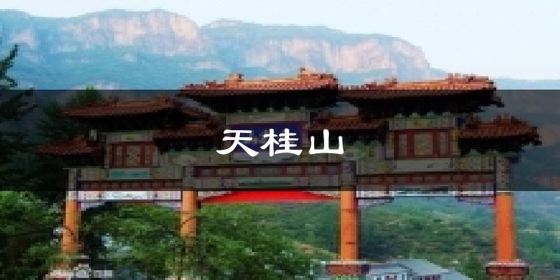 天桂山天气预报十五天