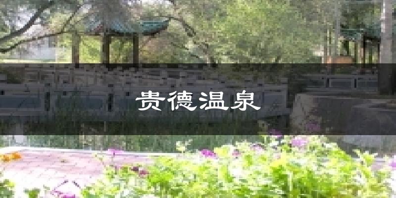贵德温泉天气预报十五天