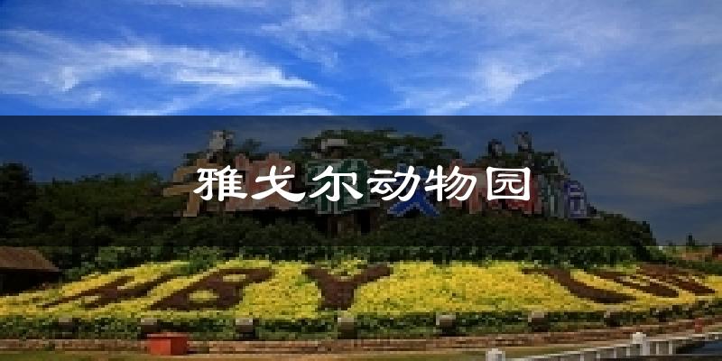雅戈尔动物园天气预报十五天