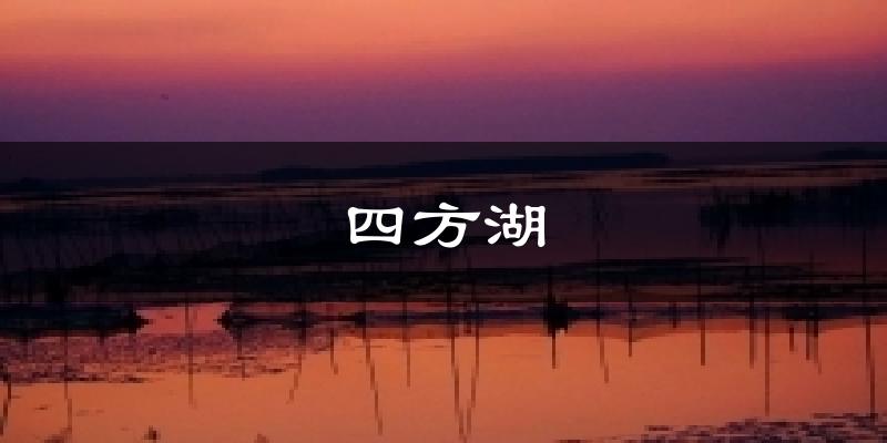 四方湖天气预报十五天