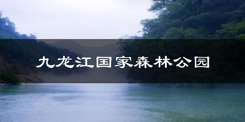 九龙江国家森林公园天气预报十五天