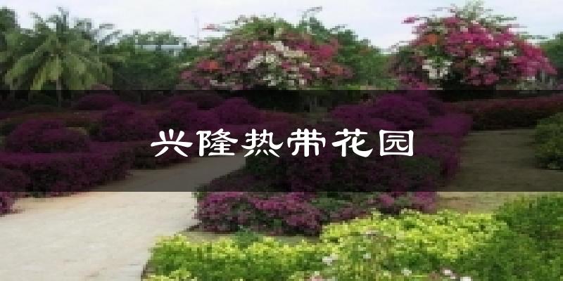 兴隆热带花园天气预报十五天