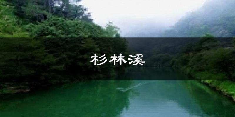 杉林溪天气预报十五天
