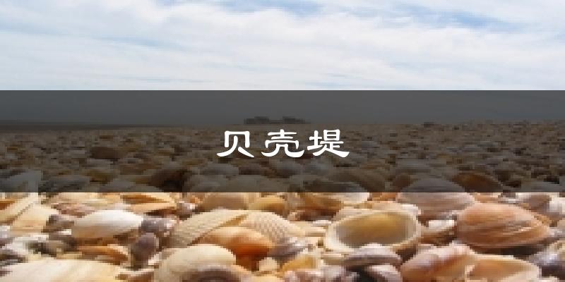 贝壳堤天气预报十五天
