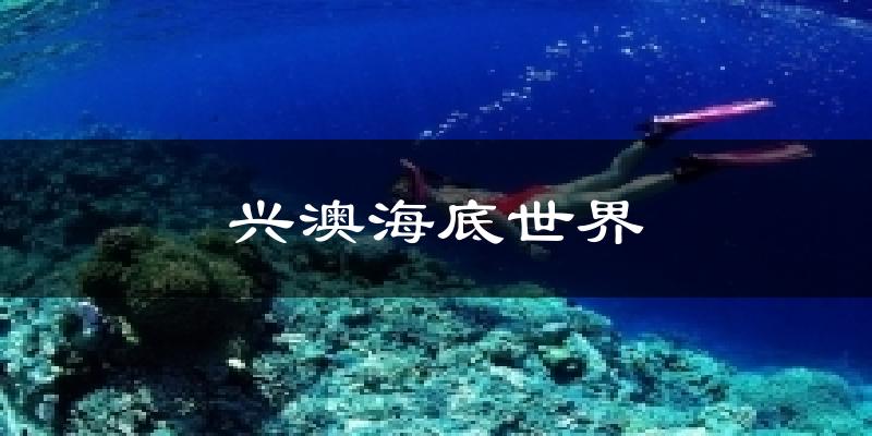 上海兴澳海底世界天气预报未来一周