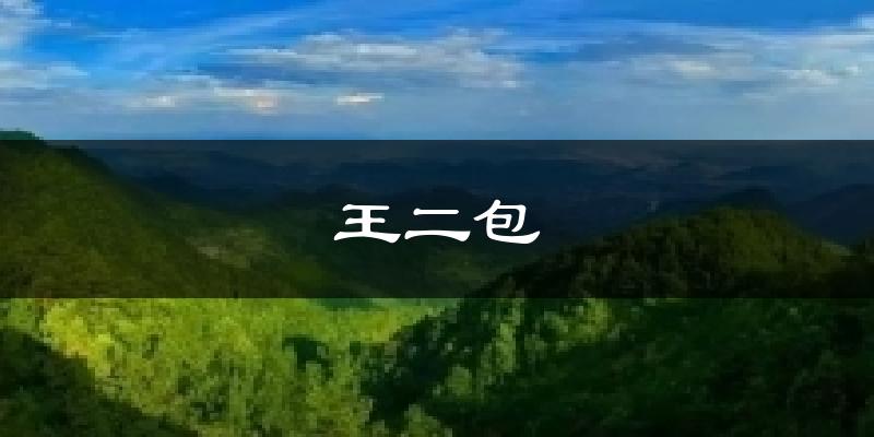 上海王二包天气预报未来一周