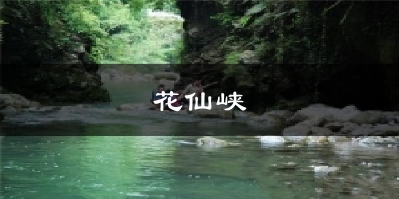 花仙峡天气预报十五天