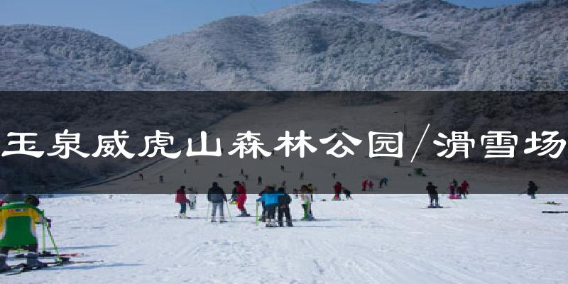 玉泉威虎山森林公园/滑雪场今日天气