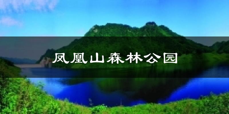 上海凤凰山森林公园天气预报未来一周