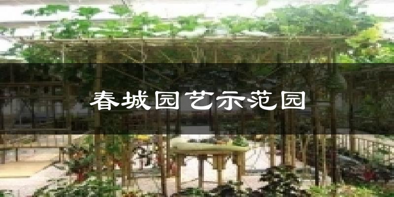 上海春城园艺示范园天气预报未来一周